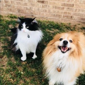 Meet your Posher, Amy